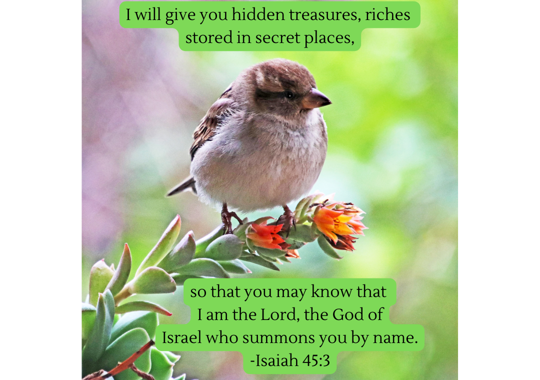 What hidden riches are you missing amidst your annoyances?